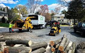 Best Emergency Tree Removal  in Twin Lakes, CA