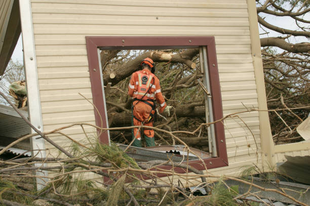 Best Utility Line Clearance  in Twin Lakes, CA